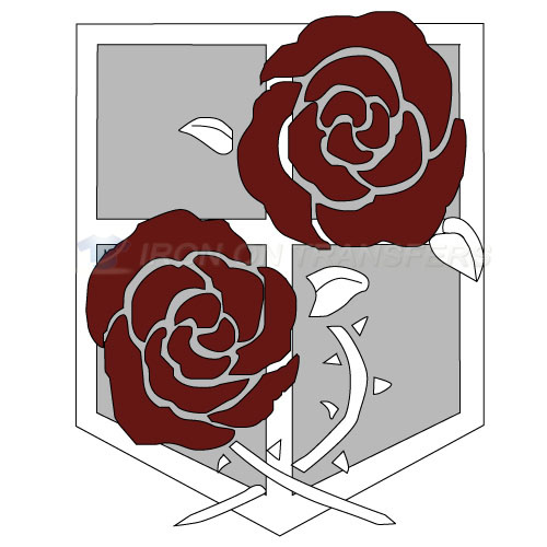 Attack on titan Iron-on Stickers (Heat Transfers)NO.501